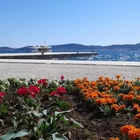 D&a * Zadar